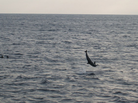 f0048405_942274.jpg