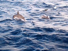 f0048405_943253.jpg