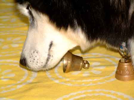 e0001110_23183392.jpg