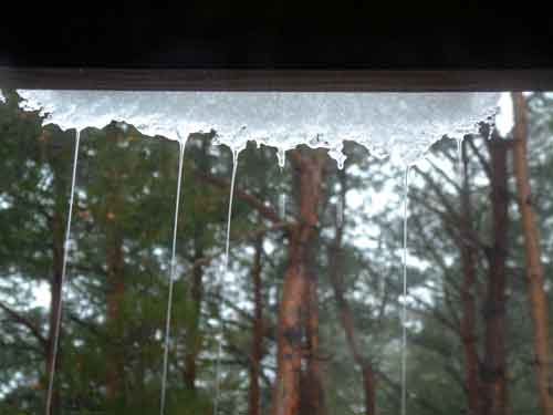 e0001110_463488.jpg