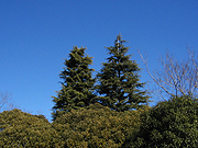 d0042618_23552631.jpg
