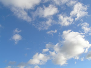 d0008832_20392324.jpg