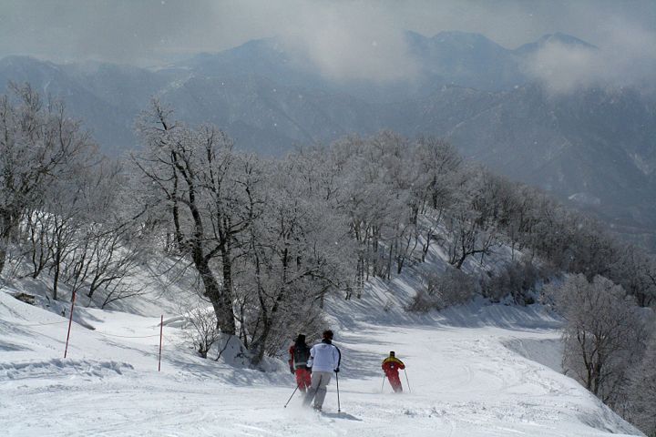 d0012134_0215451.jpg