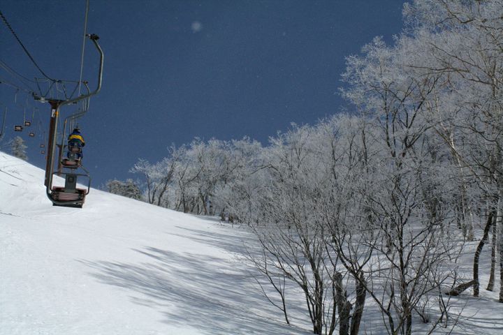 d0012134_028134.jpg