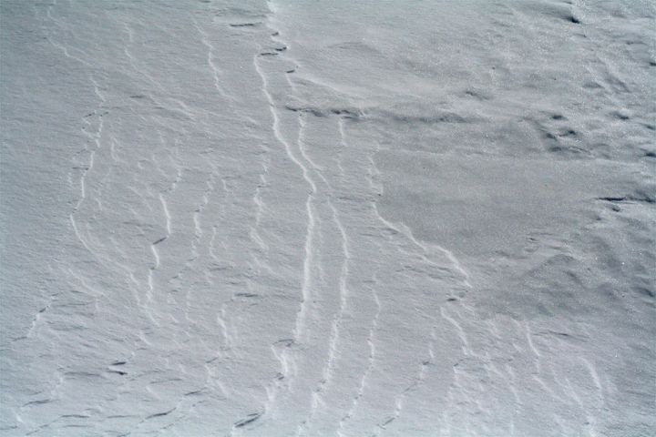 d0012134_0313077.jpg