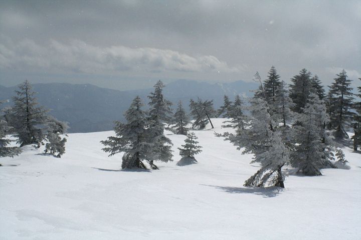 d0012134_034455.jpg