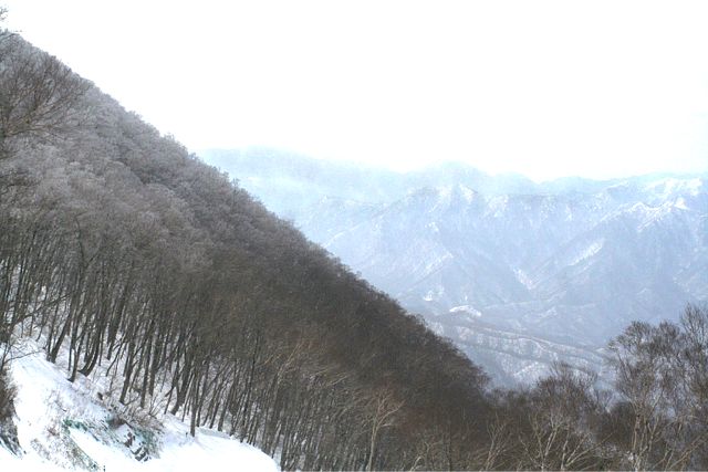 d0012134_0482337.jpg