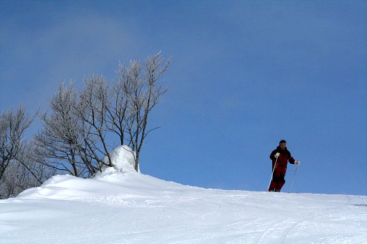 d0012134_1102844.jpg