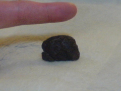 c0065643_10413231.jpg