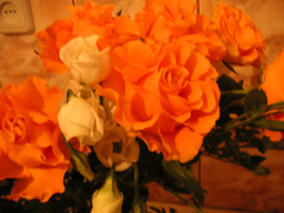 b0040048_1275078.jpg