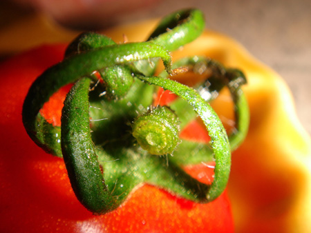 b0049152_17523149.jpg
