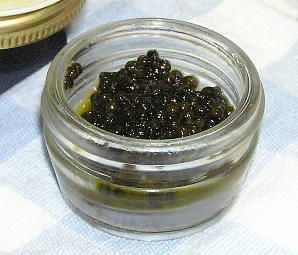 a0052156_2310121.jpg