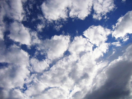 b0015260_15243042.jpg