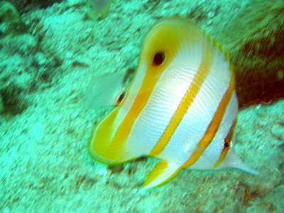 a0002177_20383430.jpg