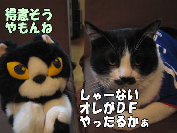 b0041182_13232.jpg