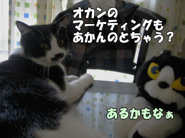 b0041182_23391472.jpg