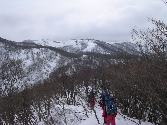 b0039898_16315831.jpg