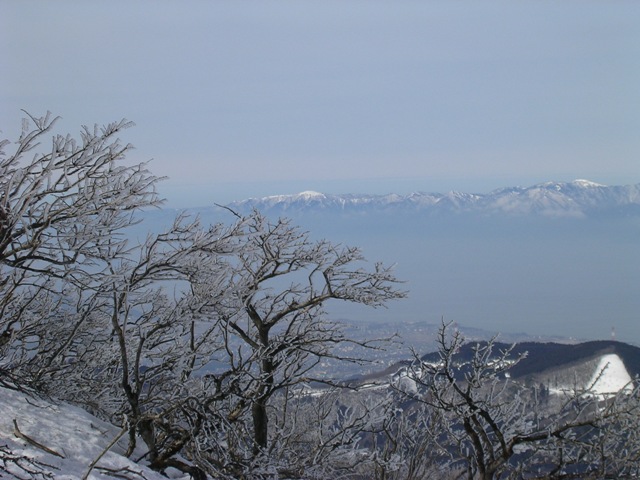 b0039898_1633187.jpg