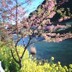 e0040602_2247436.jpg