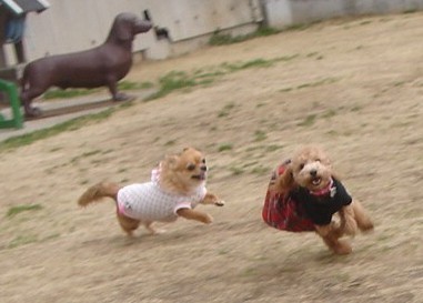 c0041207_20221580.jpg