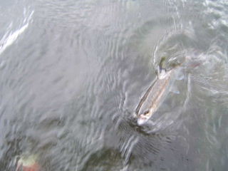 f0079411_22383155.jpg