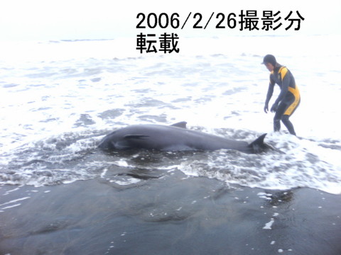 c0023216_14212998.jpg