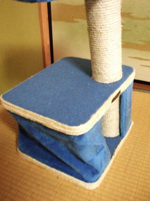 f0032020_1124913.jpg
