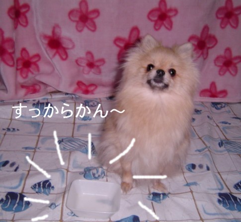 f0012924_4305046.jpg