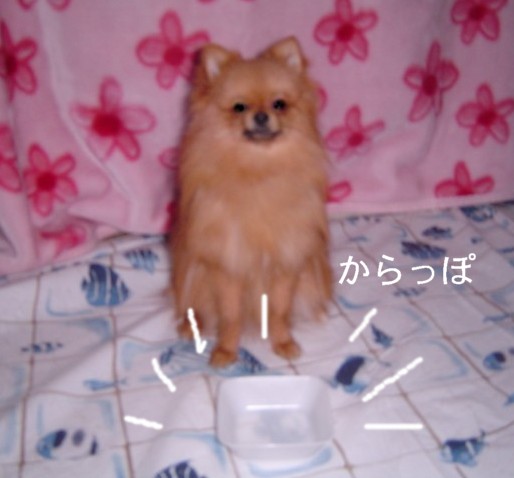 f0012924_4351457.jpg