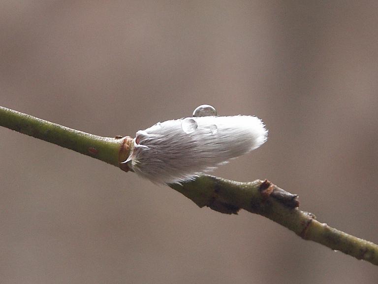 b0039226_18382498.jpg