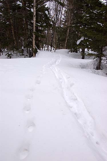 e0025030_13414028.jpg