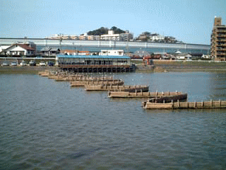 a0024531_145949.gif