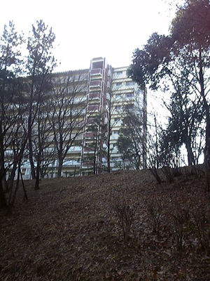 a0013134_27035.jpg