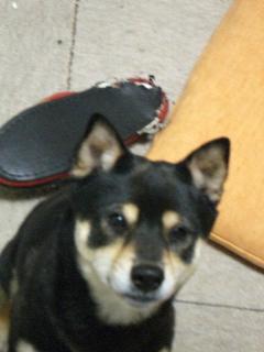 e0025240_2127599.jpg