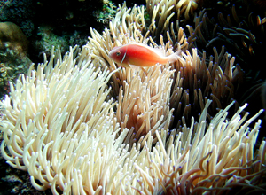 f0052269_1916150.jpg