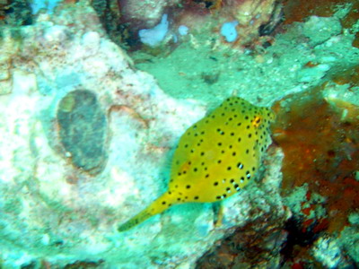 a0002177_2242933.jpg