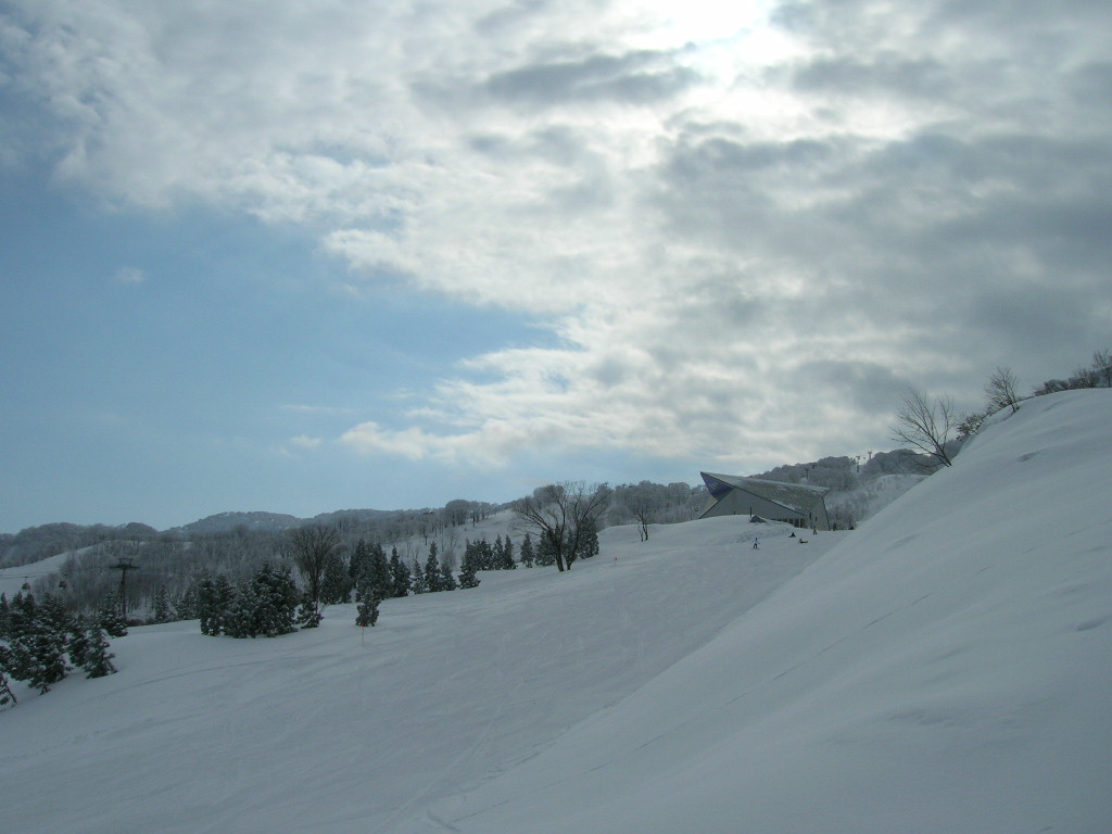e0058477_0313477.jpg