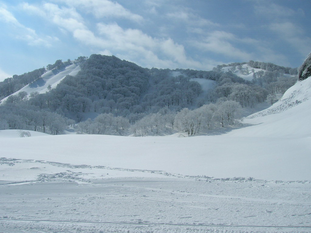 e0058477_0321230.jpg