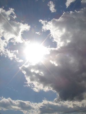 c0046281_19401858.jpg