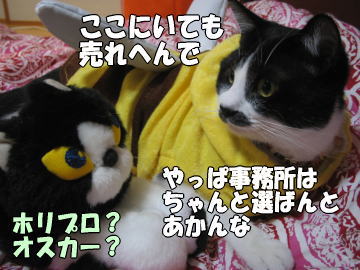b0041182_646201.jpg