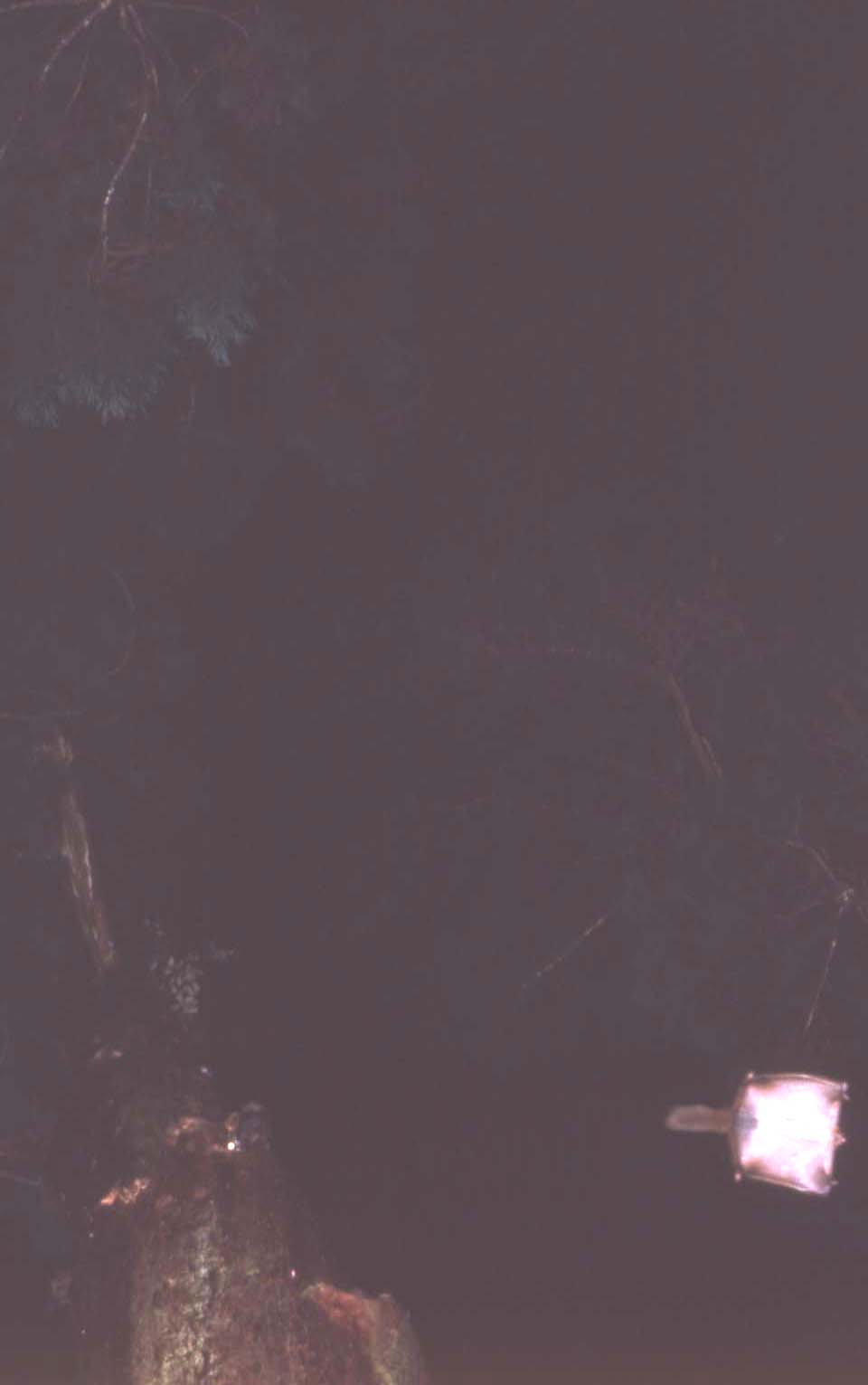 f0047593_1012215.jpg