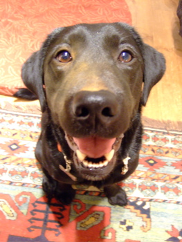 f0001698_2221030.jpg
