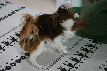 c0044199_22364822.jpg
