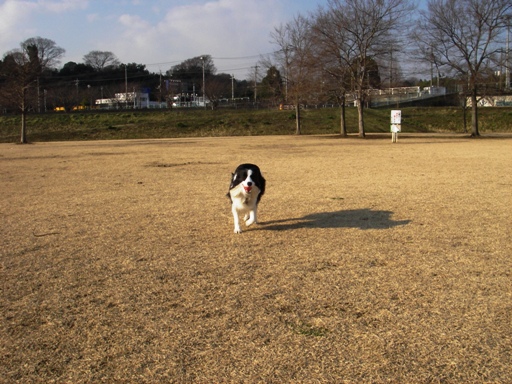 f0034602_1827986.jpg
