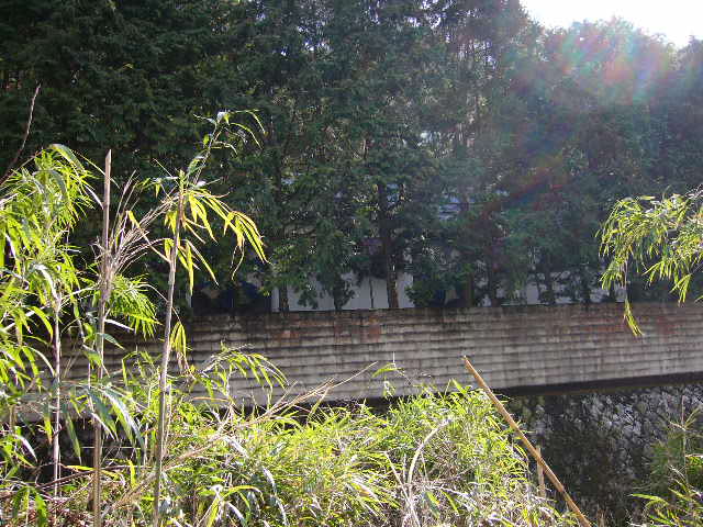 e0015108_0184892.jpg