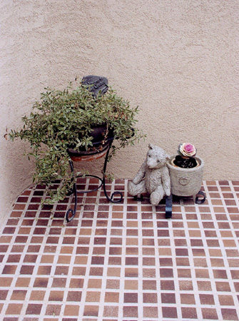f0065327_9544475.jpg