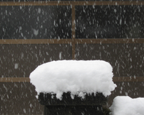 c0000134_16181527.jpg