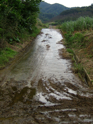 c0014035_12295950.jpg