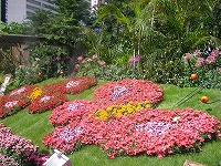 c0008439_22163263.jpg