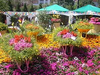 c0008439_22313977.jpg
